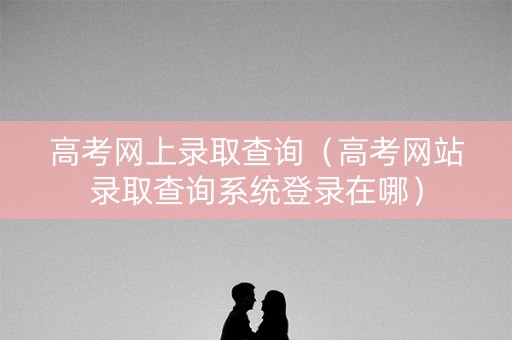 高考网上录取查询（高考网站录取查询系统登录在哪）