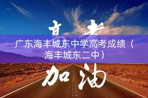 广东海丰城东中学高考成绩（海丰城东二中）