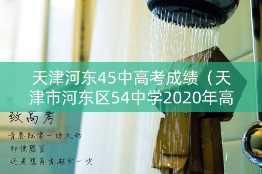 天津河东45中高考成绩(天津市河东区54中学2020年高考成绩) 天津河东45中高考成绩(天津市河东区54中学2020年高考成绩)