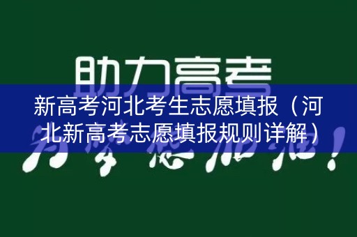 新高考河北考生志愿填报（河北新高考志愿填报规则详解）