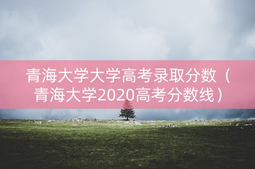 青海大学大学高考录取分数（青海大学2020高考分数线）