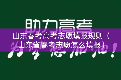 山东春考高考志愿填报规则（山东省春考志愿怎么填报）