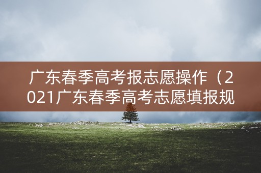 广东春季高考报志愿操作（2021广东春季高考志愿填报规则）