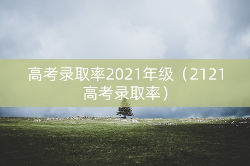 高考录取率2021年级（2121高考录取率）