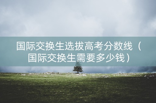 国际交换生选拔高考分数线(国际交换生需要多少钱) 国际交换生选拔高考分数线(国际交换生需要多少钱)
