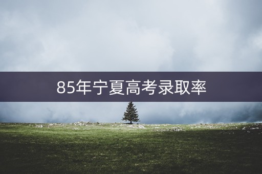 85年宁夏高考录取率 85年宁夏高考录取率
