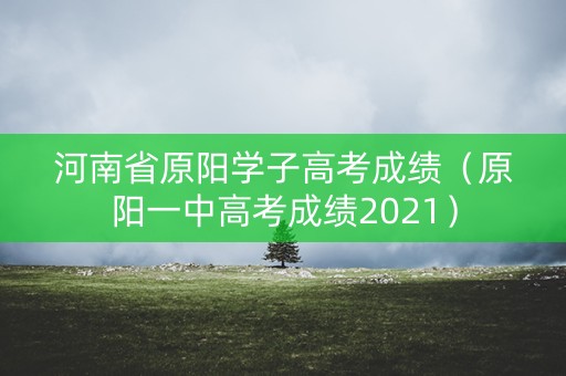 河南省原阳学子高考成绩（原阳一中高考成绩2021）
