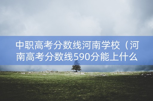 中职高考分数线河南学校（河南高考分数线590分能上什么学校）