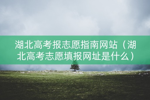 湖北高考报志愿指南网站（湖北高考志愿填报网址是什么）