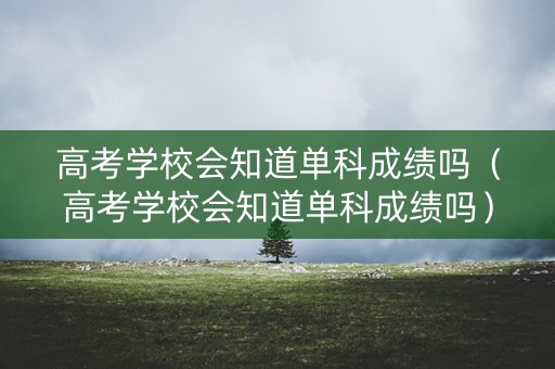 高考学校会知道单科成绩吗（高考学校会知道单科成绩吗）