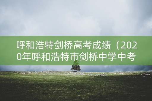 呼和浩特剑桥高考成绩（2020年呼和浩特市剑桥中学中考）