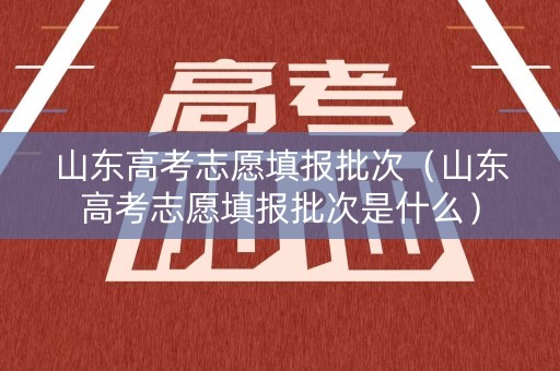 山东高考志愿填报批次（山东高考志愿填报批次是什么）