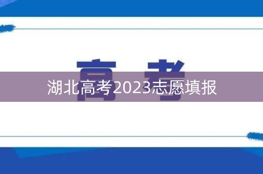 湖北高考2023志愿填报
