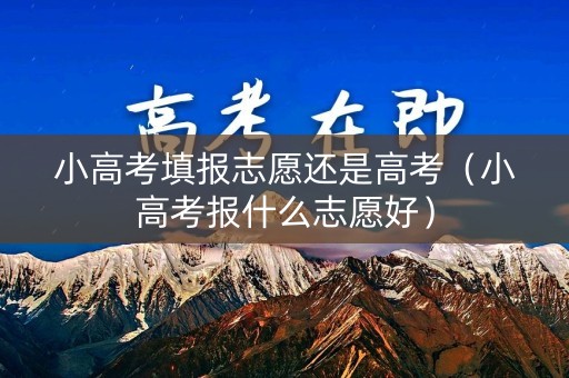 小高考填报志愿还是高考（小高考报什么志愿好）