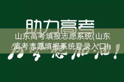 山东高考填报志愿系统(山东高考志愿填报系统登录入口http)