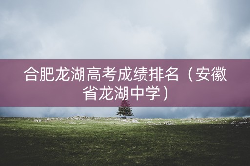 合肥龙湖高考成绩排名（安徽省龙湖中学）