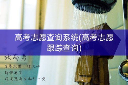 高考志愿查询系统(高考志愿跟踪查询)