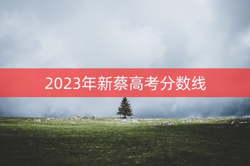 2023年新蔡高考分数线