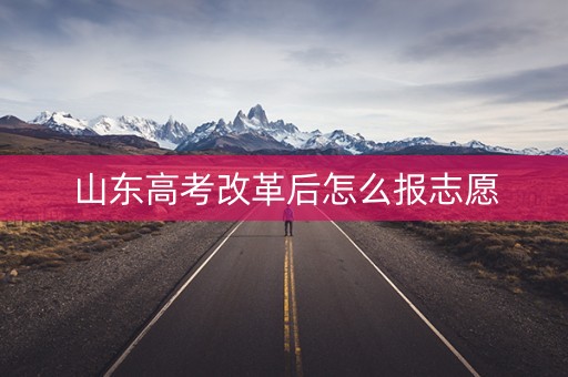 山东高考改革后怎么报志愿