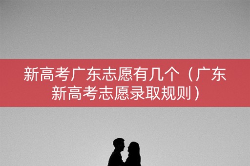 新高考广东志愿有几个(广东新高考志愿录取规则) 新高考广东志愿有几个(广东新高考志愿录取规则)