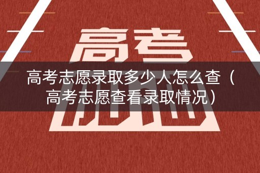 高考志愿录取多少人怎么查(高考志愿查看录取情况) 高考志愿录取多少人怎么查(高考志愿查看录取情况)