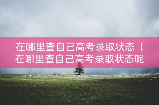 在哪里查自己高考录取状态（在哪里查自己高考录取状态呢）