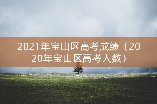 2021年宝山区高考成绩（2020年宝山区高考人数）