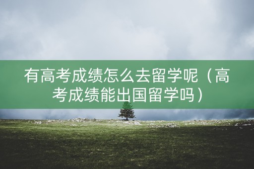 有高考成绩怎么去留学呢（高考成绩能出国留学吗）