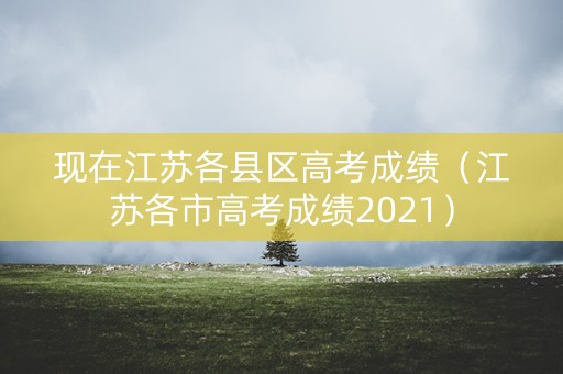 现在江苏各县区高考成绩（江苏各市高考成绩2021）