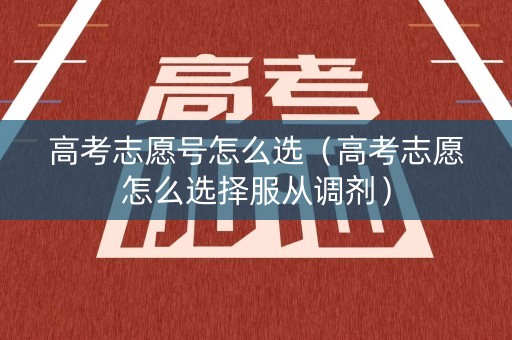 高考志愿号怎么选(高考志愿怎么选择服从调剂) 高考志愿号怎么选(高考志愿怎么选择服从调剂)
