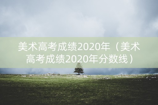 美术高考成绩2020年（美术高考成绩2020年分数线）