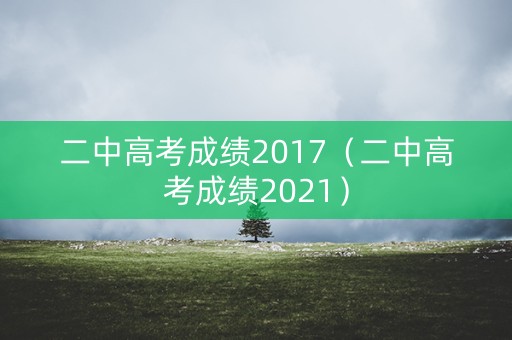 二中高考成绩2017（二中高考成绩2021）