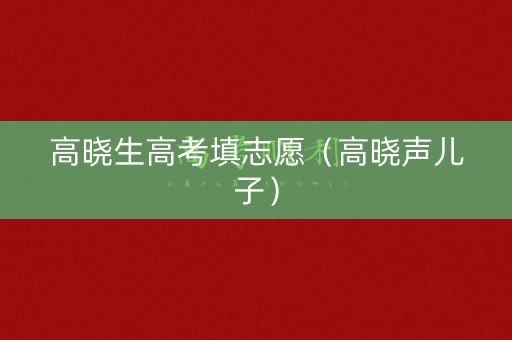 高晓生高考填志愿(高晓声儿子) 高晓生高考填志愿(高晓声儿子)