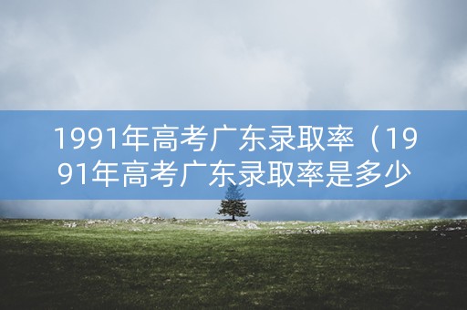 1991年高考广东录取率（1991年高考广东录取率是多少）