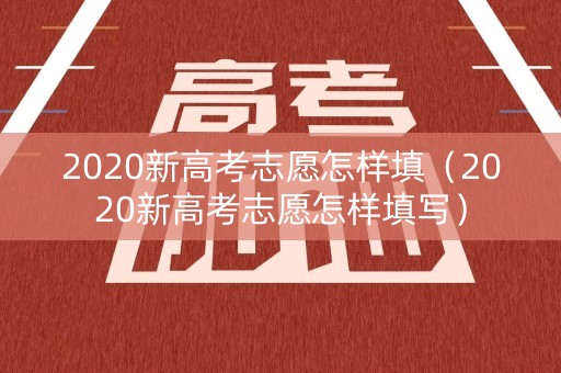 2020新高考志愿怎样填（2020新高考志愿怎样填写）