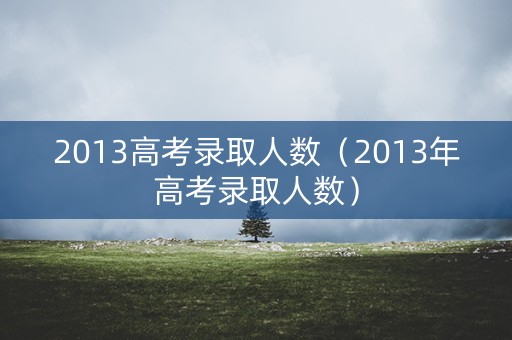 2013高考录取人数（2013年高考录取人数）