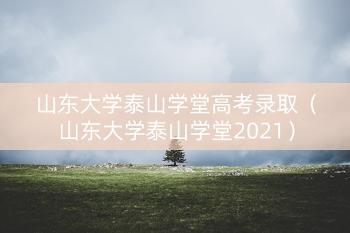 山东大学泰山学堂高考录取（山东大学泰山学堂2021）