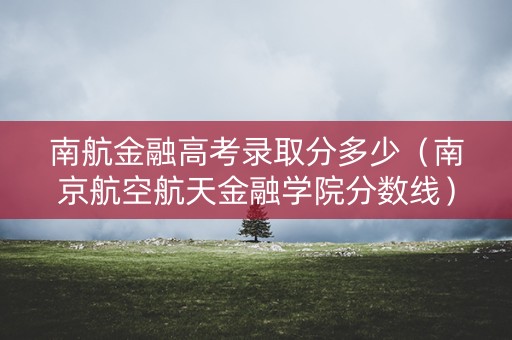 南航金融高考录取分多少（南京航空航天金融学院分数线）