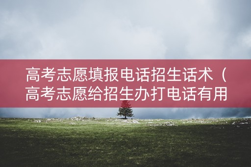 高考志愿填报电话招生话术(高考志愿给招生办打电话有用吗) 高考志愿填报电话招生话术(高考志愿给招生办打电话有用吗)