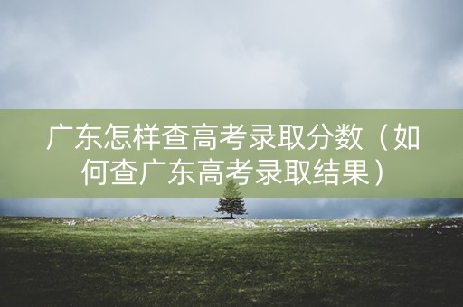 广东怎样查高考录取分数（如何查广东高考录取结果）