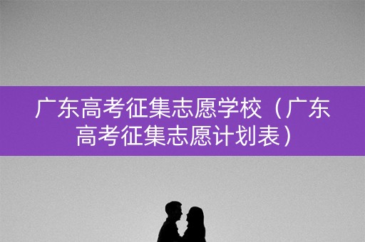 广东高考征集志愿学校（广东高考征集志愿计划表）