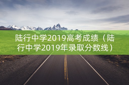 陆行中学2019高考成绩（陆行中学2019年录取分数线）
