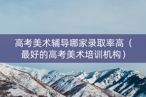 高考美术辅导哪家录取率高（最好的高考美术培训机构）