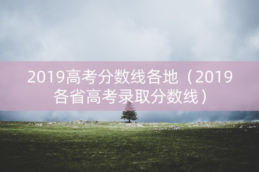 2019高考分数线各地（2019各省高考录取分数线）