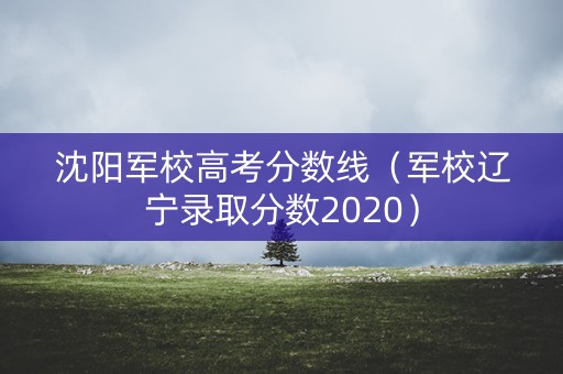 沈阳军校高考分数线（军校辽宁录取分数2020）