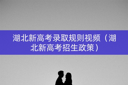 湖北新高考录取规则视频（湖北新高考招生政策）