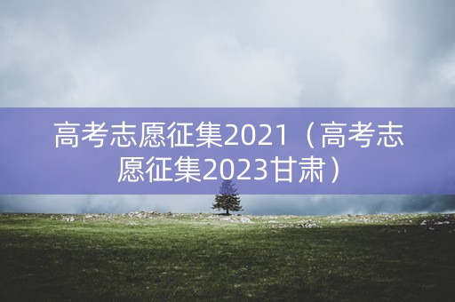 高考志愿征集2021（高考志愿征集2023甘肃）