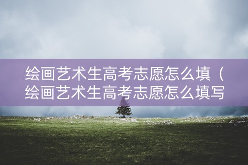 绘画艺术生高考志愿怎么填（绘画艺术生高考志愿怎么填写）