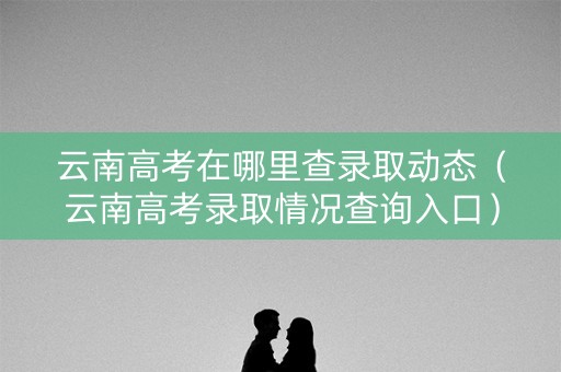云南高考在哪里查录取动态(云南高考录取情况查询入口) 云南高考在哪里查录取动态(云南高考录取情况查询入口)