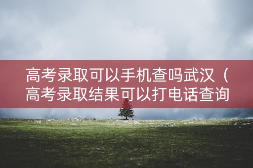 高考录取可以手机查吗武汉(高考录取结果可以打电话查询吗) 高考录取可以手机查吗武汉(高考录取结果可以打电话查询吗)